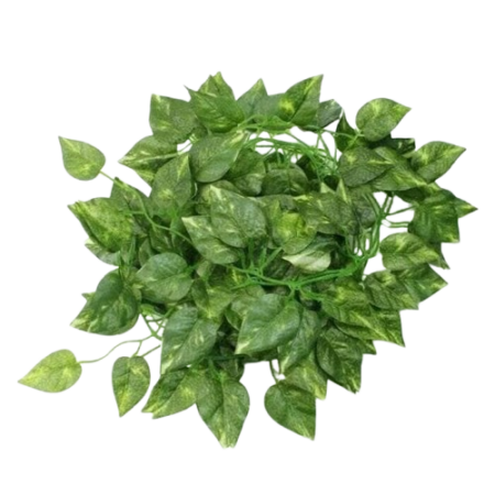 Pack Guirllande Vegetal